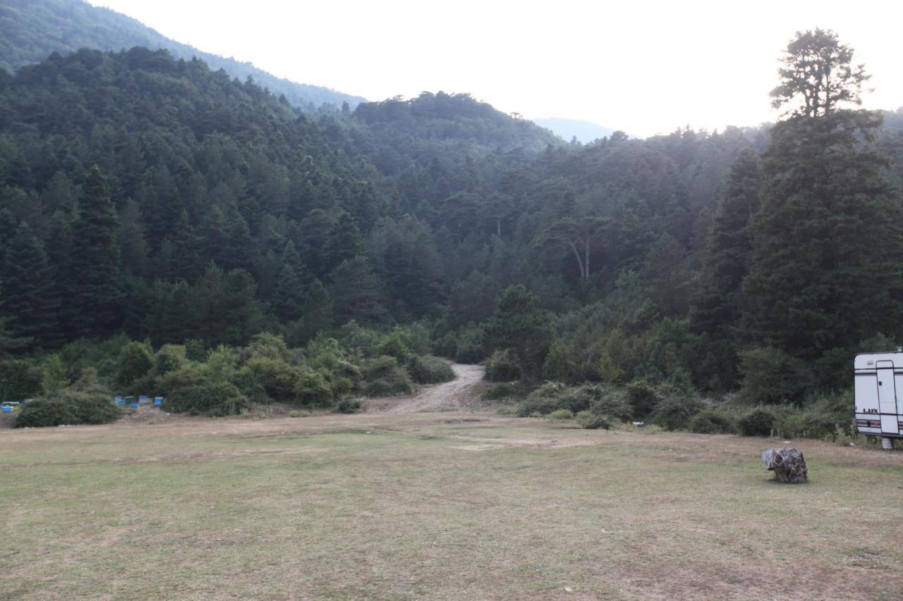 Hamiti Camping Center Dukat Buitenkant foto