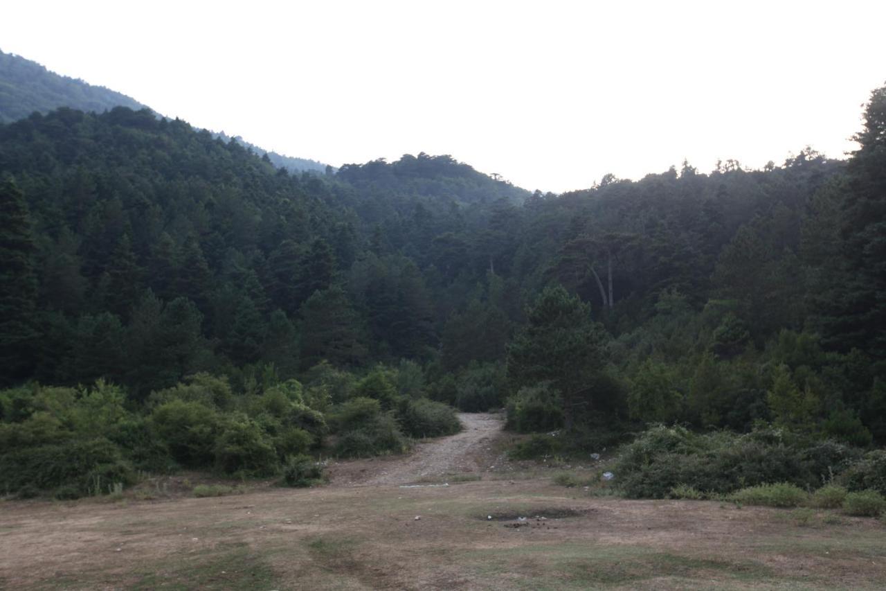 Hamiti Camping Center Dukat Buitenkant foto