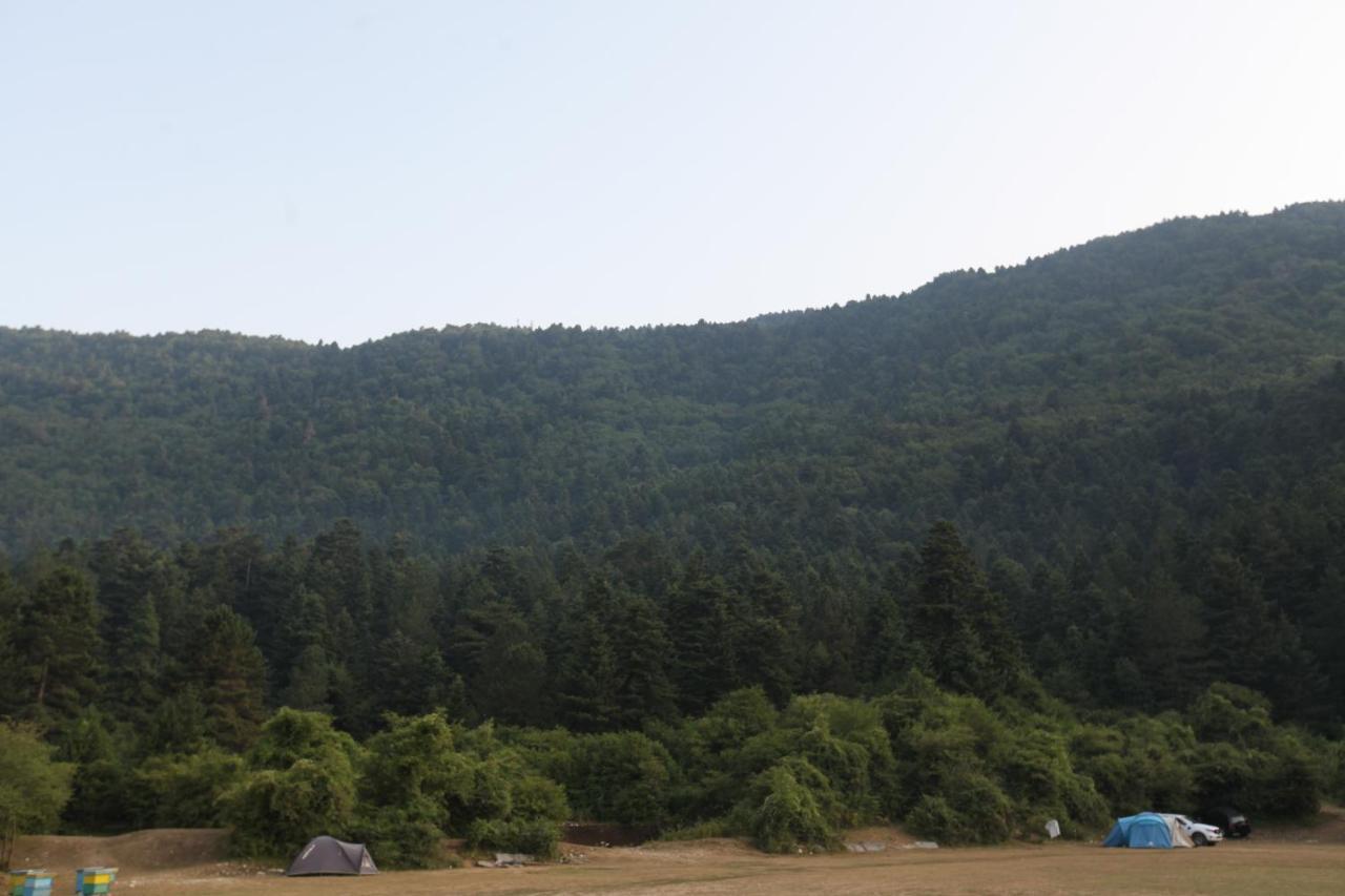 Hamiti Camping Center Dukat Buitenkant foto