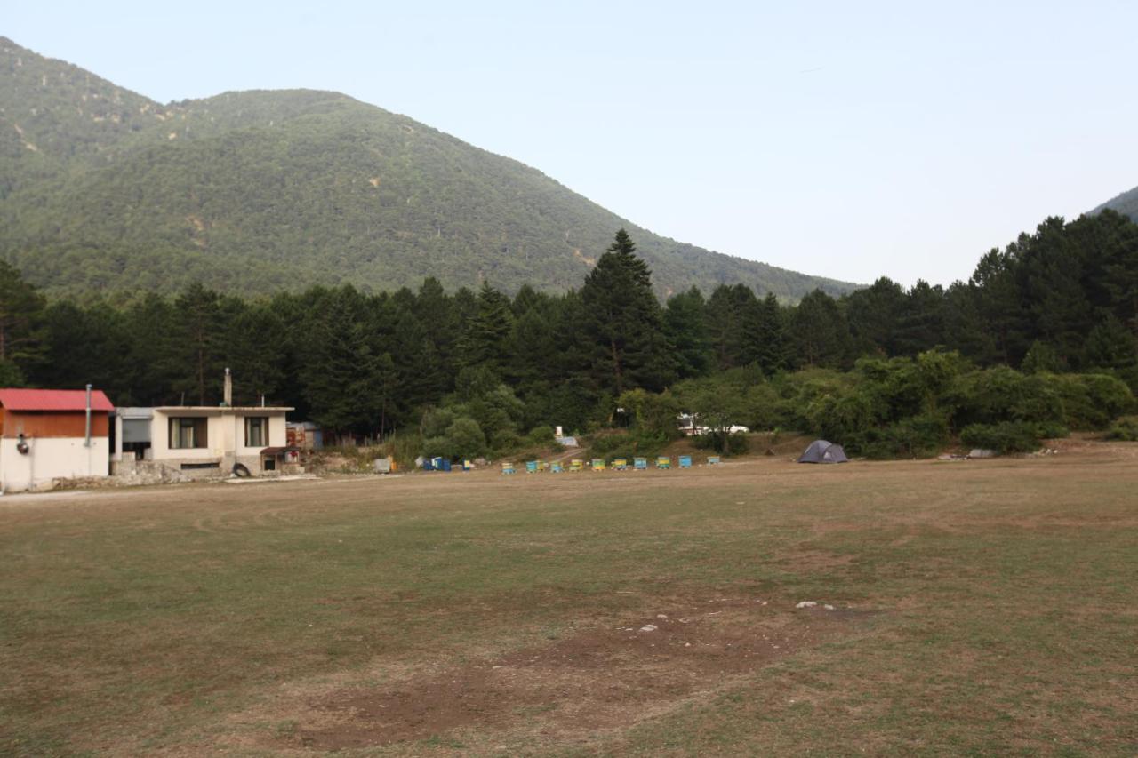Hamiti Camping Center Dukat Buitenkant foto